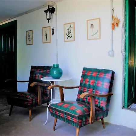 El Castaño * Las Palmas de Gran Canaria